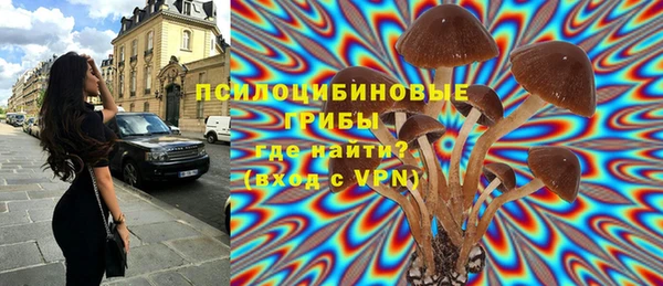 спайс Верхний Тагил
