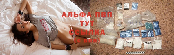 гидра Волоколамск