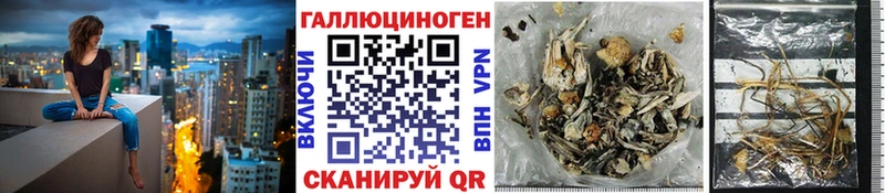 Псилоцибиновые грибы Cubensis  Купить  Котово 